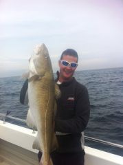 20lb French Wreck Cod