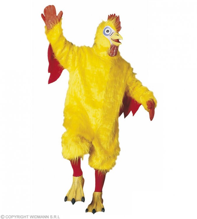Chicken 1.jpg