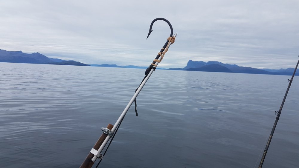 Flounder rig? Jokes Poole Bay Small Boat Angling Club