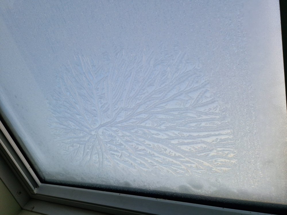 Frosty Window.jpg